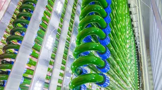 Series of glass tubes and bends in an industrial photobioreactor 