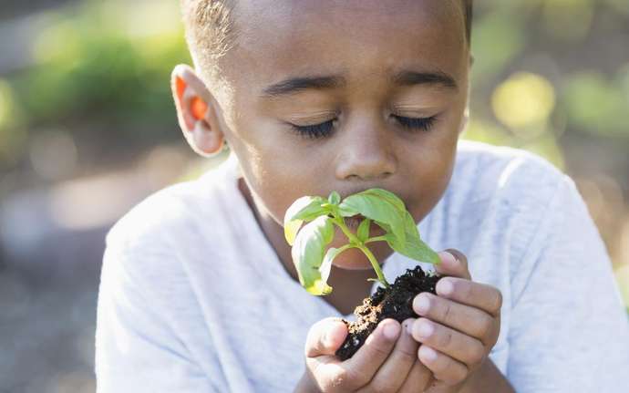 Young boy smells a green seedling
