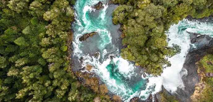 Aerial shot of a river running through a forest