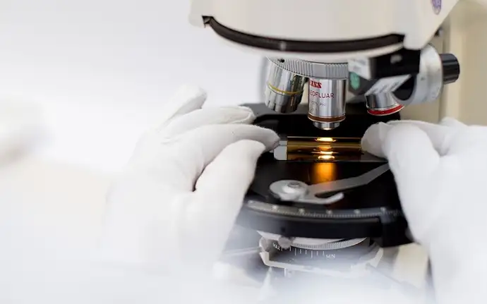 Investigation of a glass sample under a light microscope