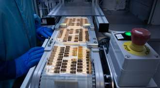 Employee inspecting the microfluidic substrates in the lab