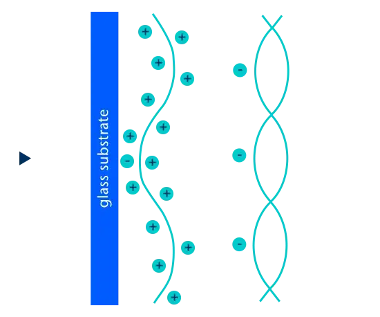 Poly-L-Lysine coating (PLL)