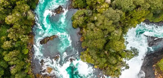 Aerial shot of a river running through a forest