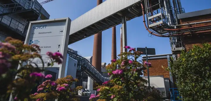 Plant Mainz Sustainability