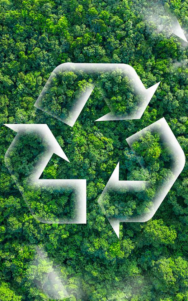 durchsichtiges Recycling Symbol vor einem grünen Wald, Perspektive von oben