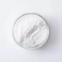 Bioactive Glass Powder | SCHOTT