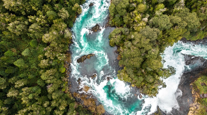 River running through forest