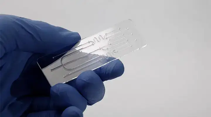 Hand holding microfluidic chip.