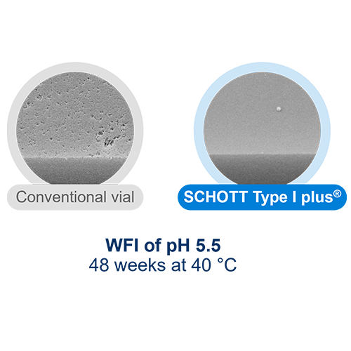 Type I plus_WFI_Onlineshop_2024