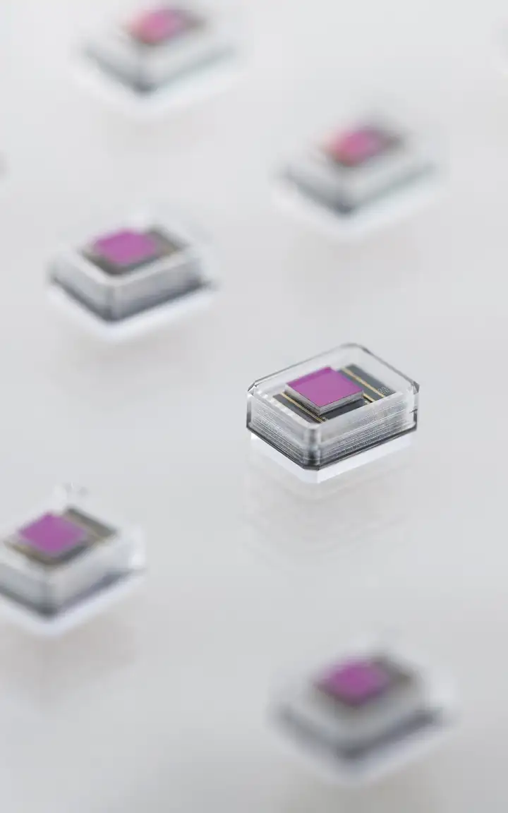 An array of tiny glass-encapsulated chips for implants.