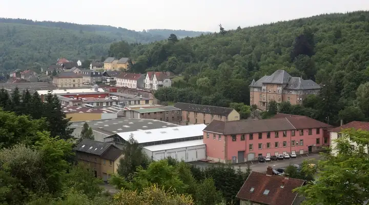 VTF in Troisfontaines plant