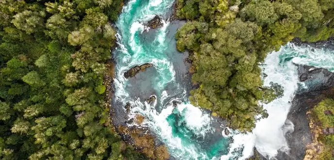 Aerial shot of a river running through a forest