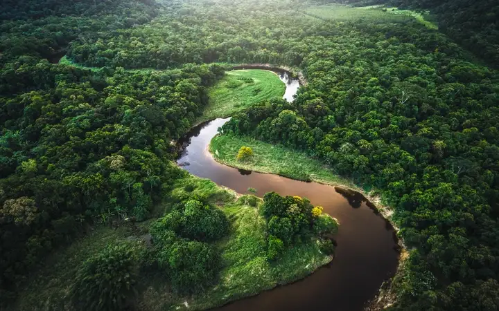 River in forest