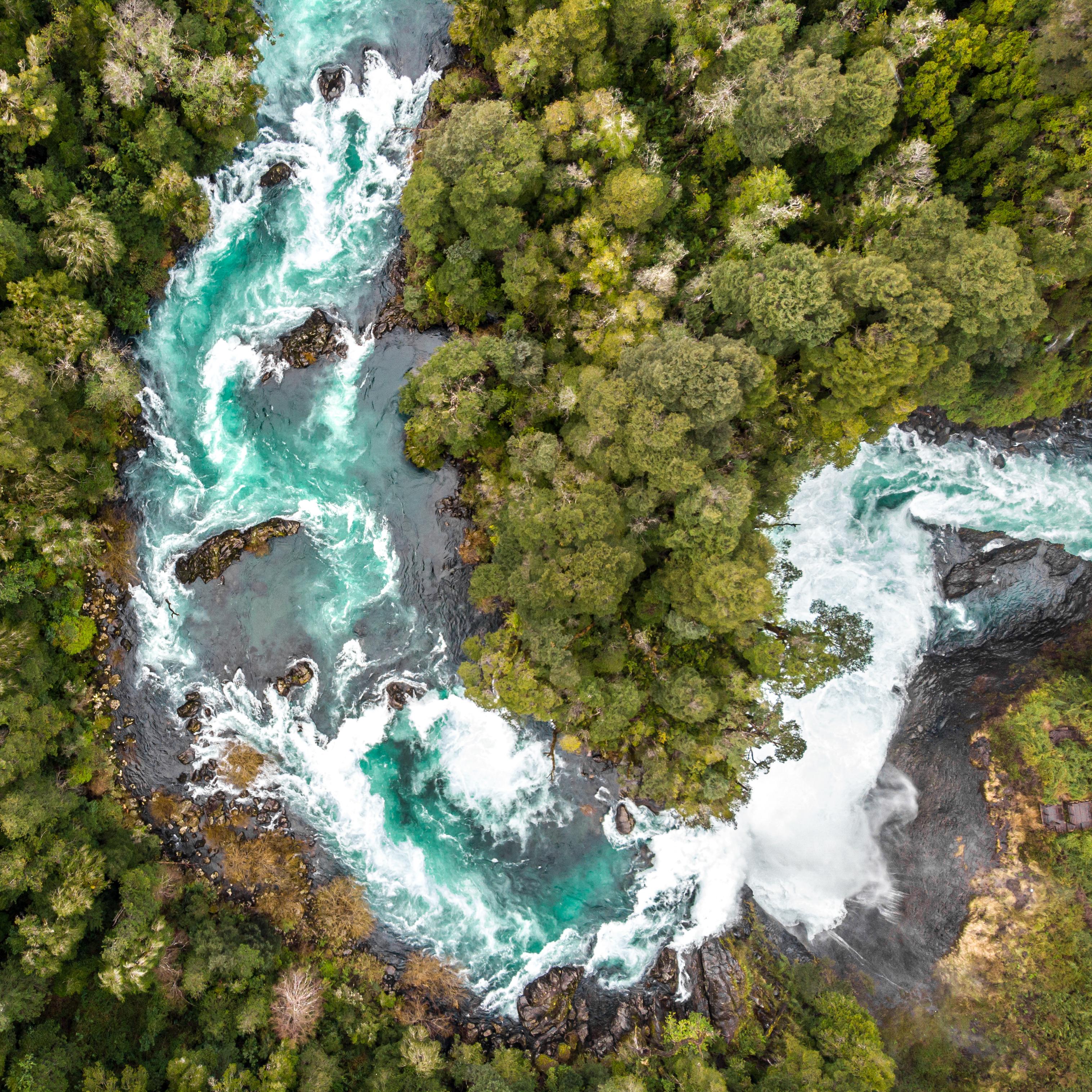 Aerial shot of a river running through a forest
