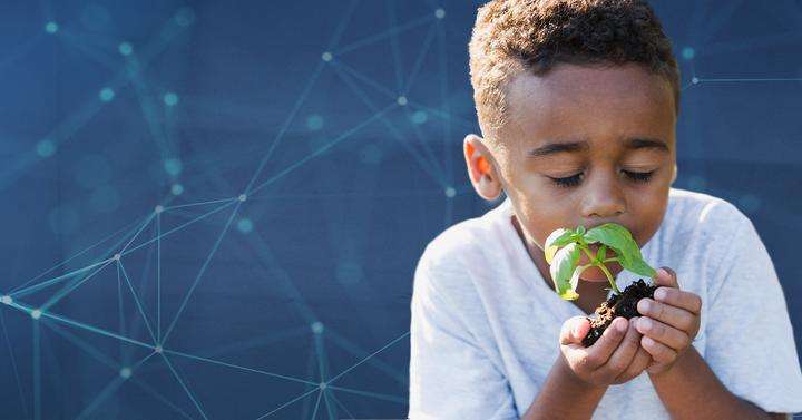 Young boy smells a small green plant infront of a network pattern