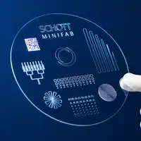 MINIFAB unbranded 170µm wafer