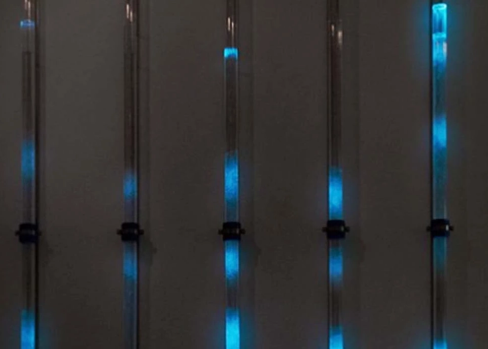 肖特玻管和生物发光藻类的装置艺术