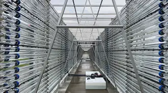 Interior shot of an industrial photobioreactor with series of glass tubing on either side