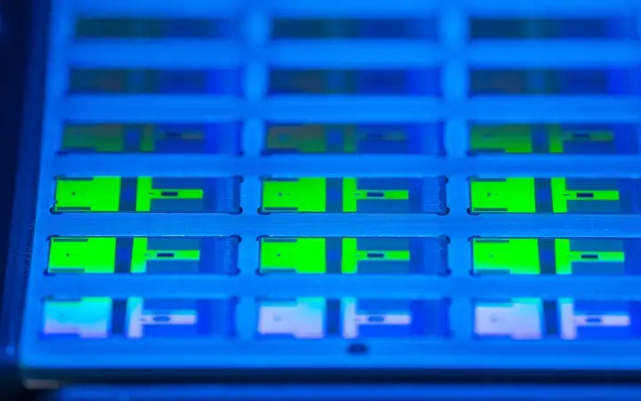 Microarrays on silicon chips.