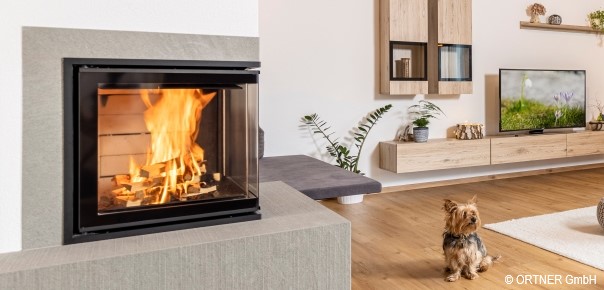 Dog in lounge with an indoor fireplace featuring a SCHOTT ROBAX® angular bent fire-viewing panel
