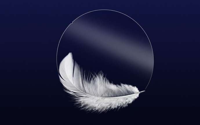 一片玻璃晶圆安放在羽毛旁