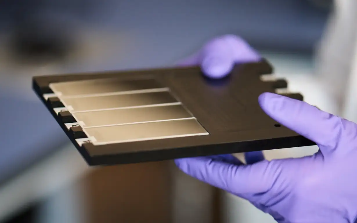 Laboratory technician holding a plate with glass substrates