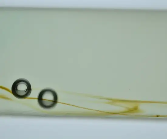 <h3>Bubble and gas analytics</h3>