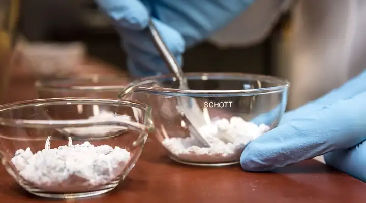 Close up of a gloved hand holding a glass dish with powder