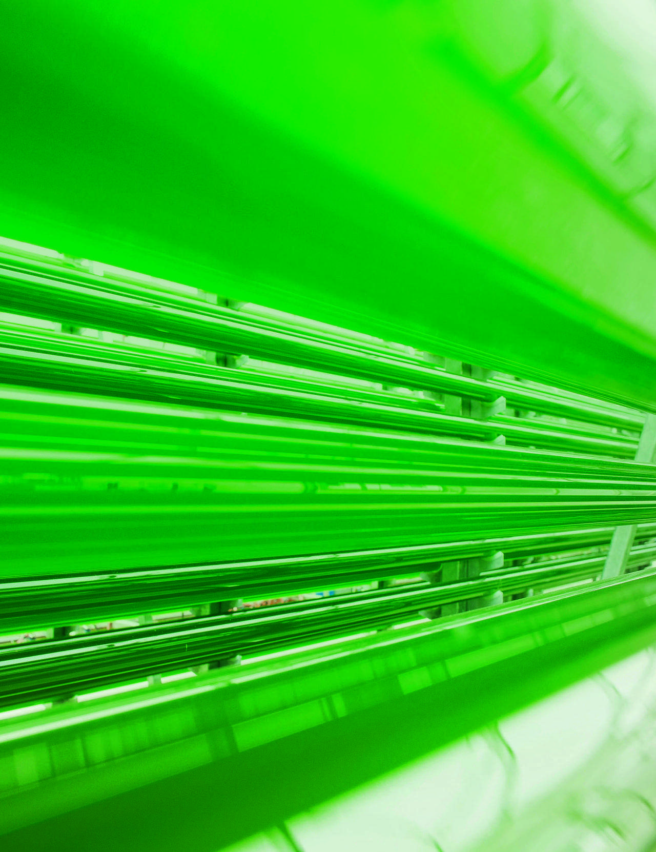 Photobioreactor growing microalgae in SCHOTT glass tubes