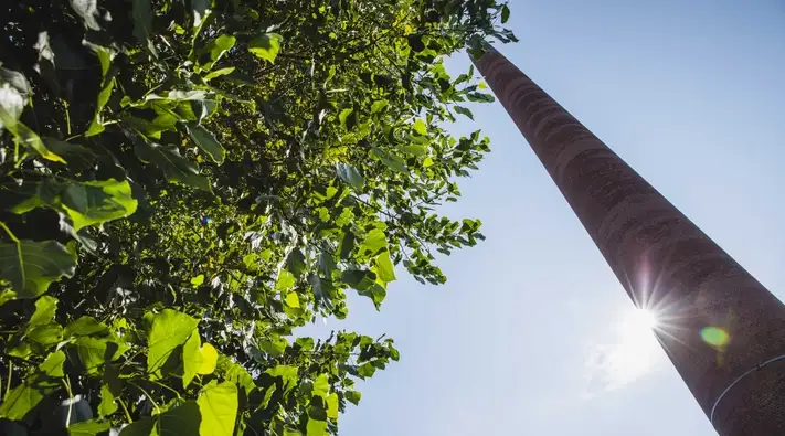 SCHOTT in Mainz Climate neutral