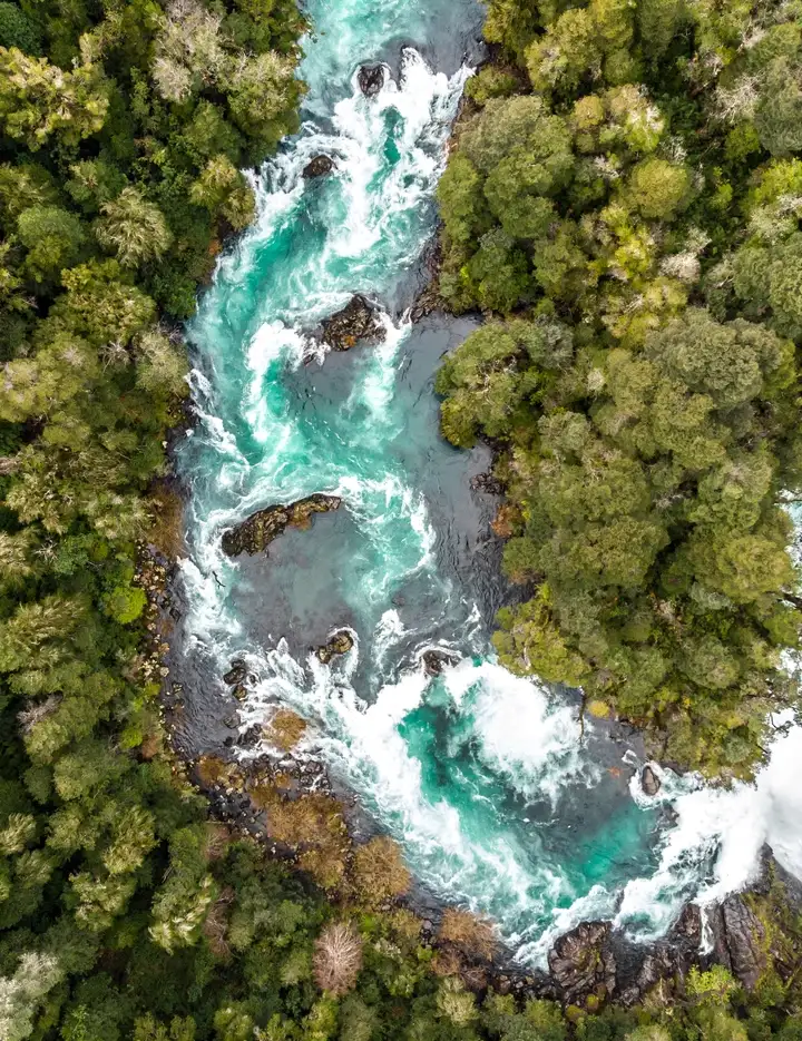 River running through forest 