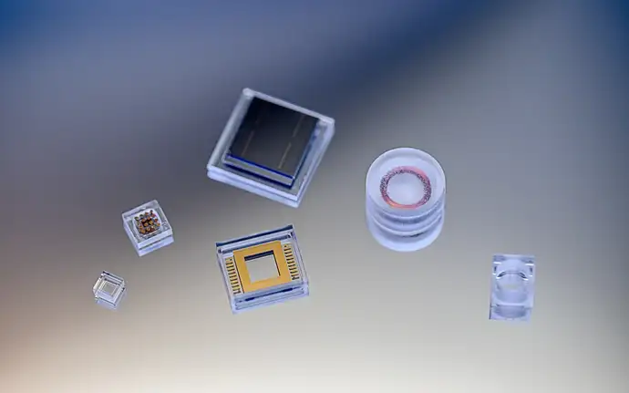 Glass-encapsulated implantable medical devices in various shapes and sizes.