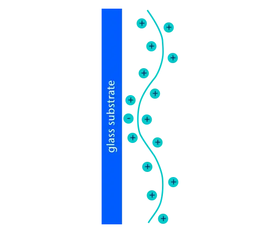 Poly-L-Lysine coating (PLL)